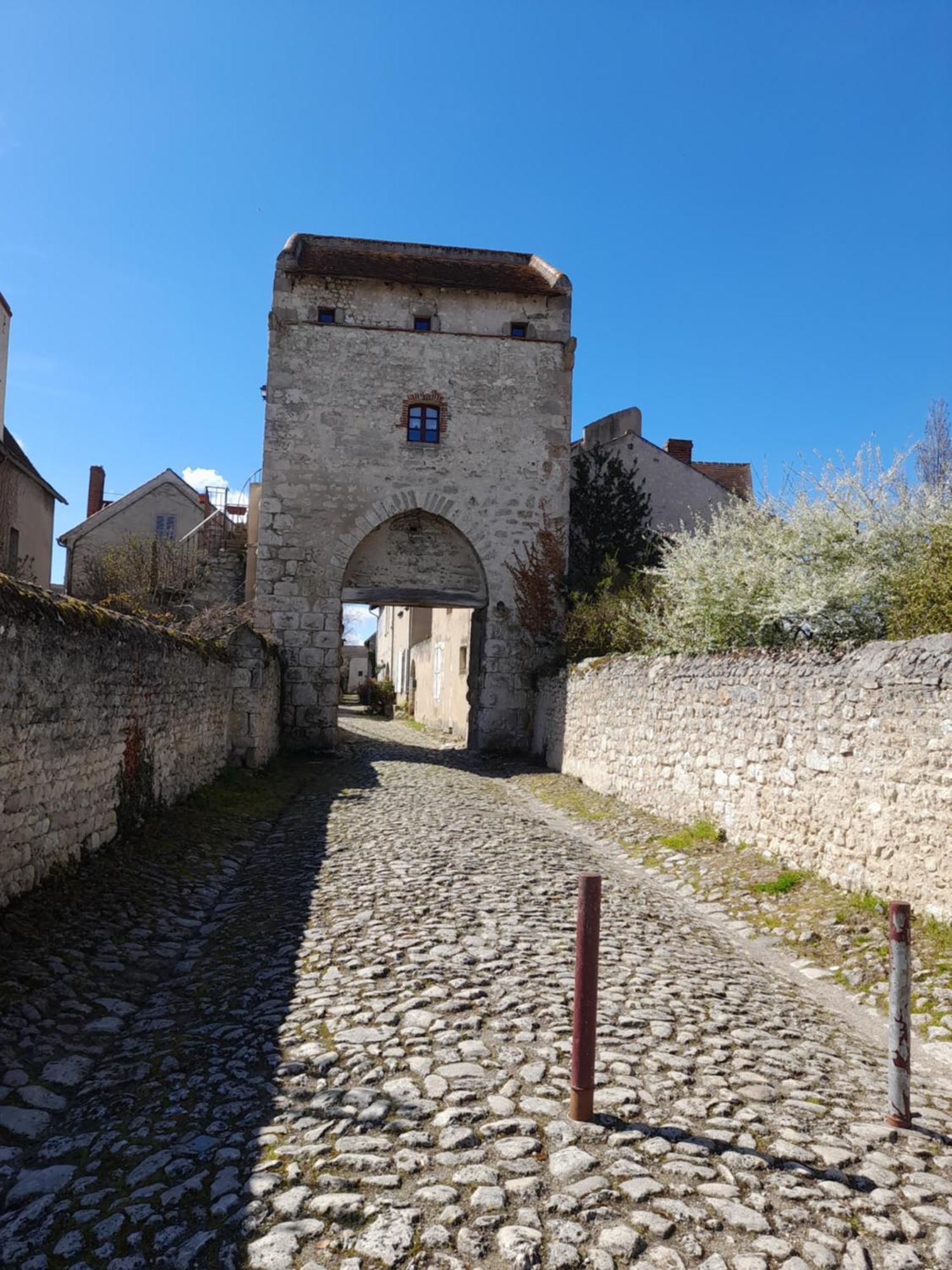 La Maison Du Prince De Conde Charroux-dʼAllier Exteriör bild